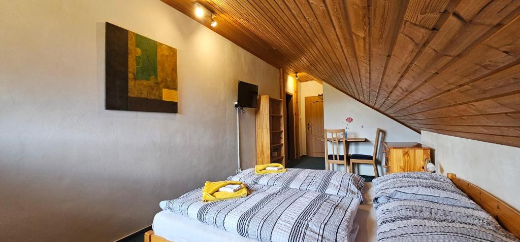 Horská Kvilda - Ubytování U Chvalů - 2