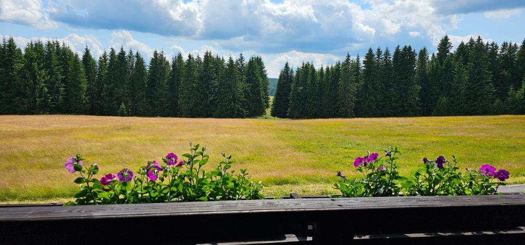 Horská Kvilda - Ubytování U Chvalů - 4