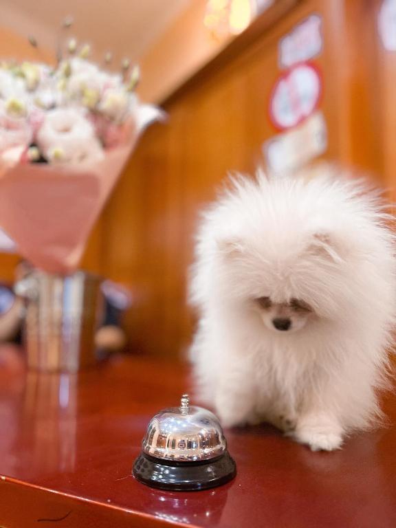 Gallery Hotel SIS - Resim 9