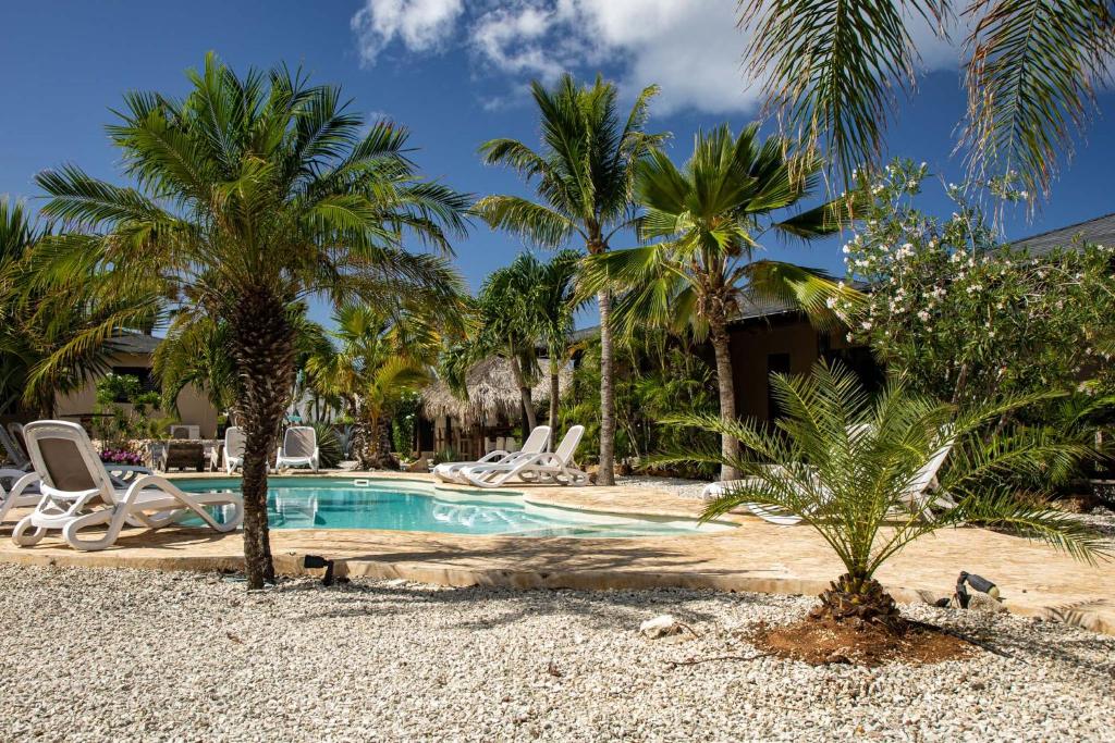 a resort swimming pool with palm trees and lounge chairs at Bridanda boutique resort in Kralendijk