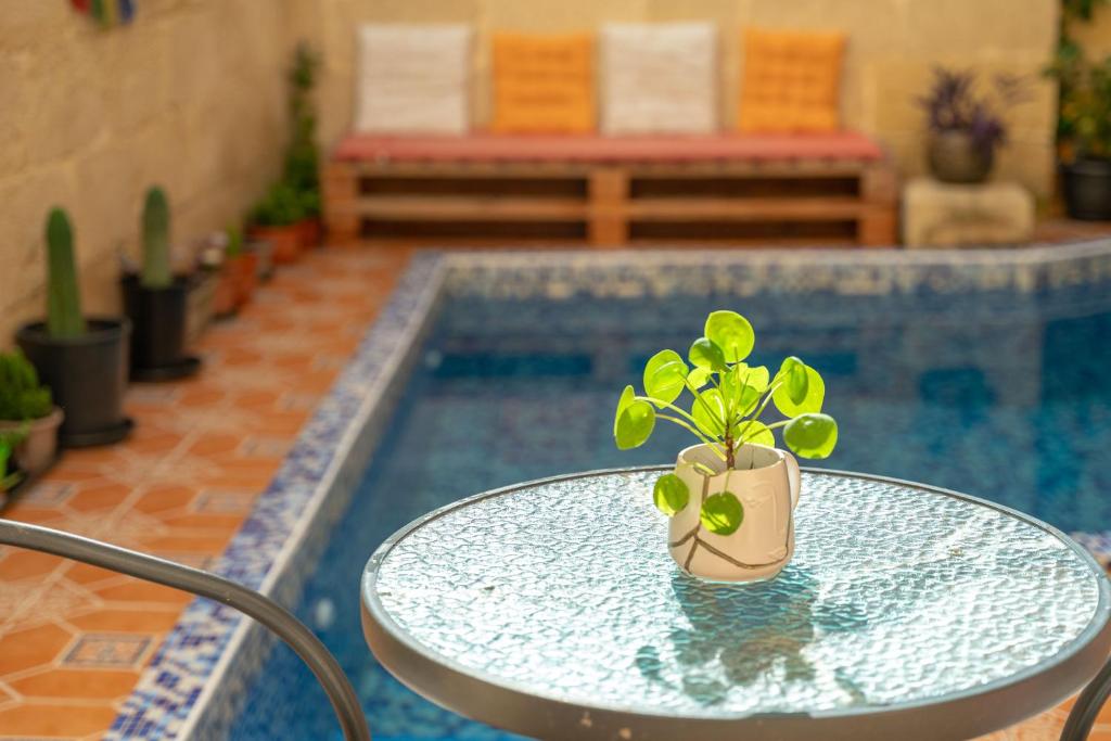 Бассейн в Laremi Gozo B&B или поблизости