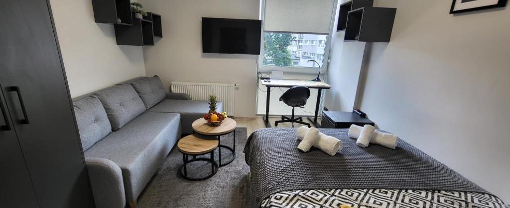a living room with a couch and a table at Centrum Prusa Prestige 211 in Lublin