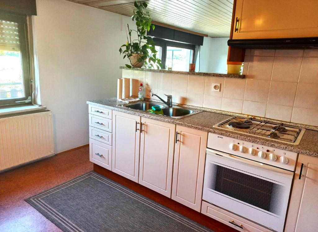 Kuchyň nebo kuchyňský kout v ubytování Homestay Zajec