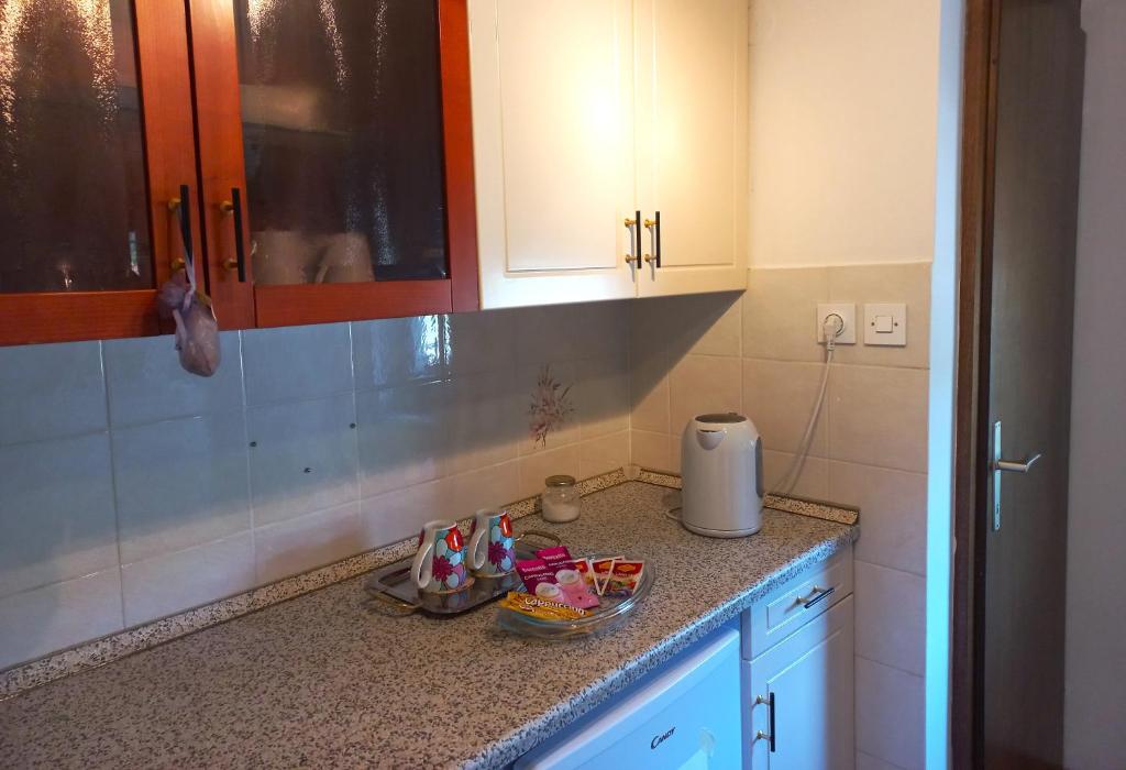 Kuchyň nebo kuchyňský kout v ubytování Homestay Zajec
