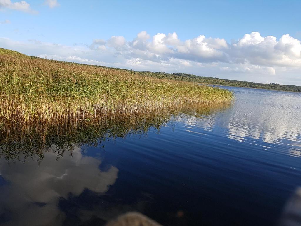 a large body of water with grass and clouds in the sky at Agroturystyka „U Rzeźbiarza” in Sławno