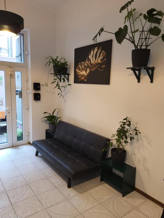 een zwarte bank in een woonkamer met potplanten bij Hostel Cinnamon in Krakau