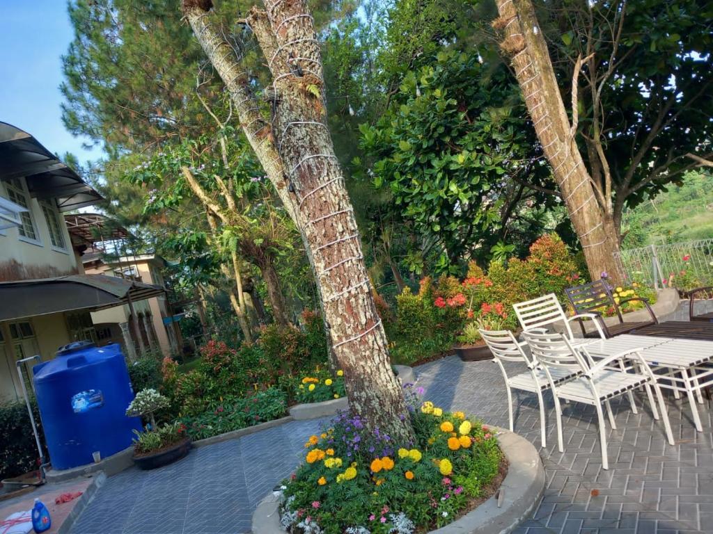 Zahrada ubytování Eton Asia Villas-Kota Bunga