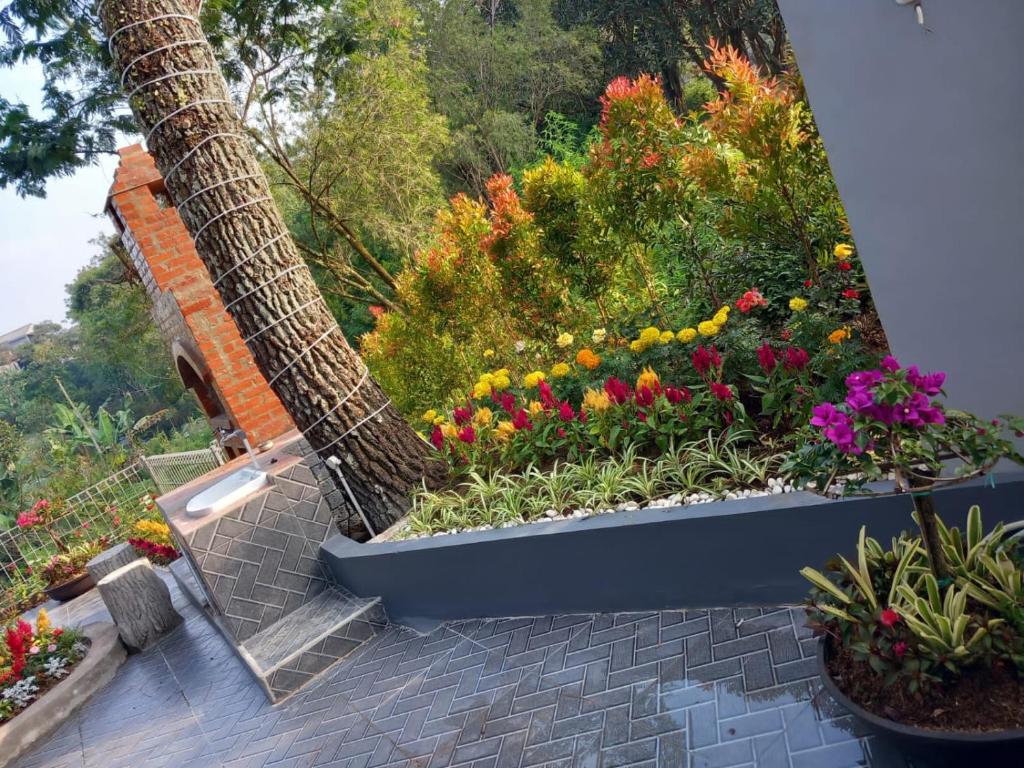 Zahrada ubytování Eton Asia Villas-Kota Bunga