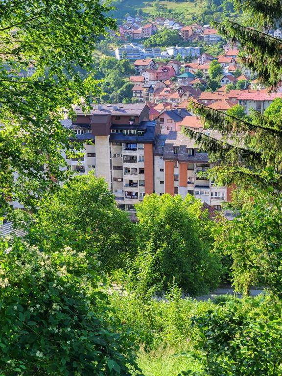 Příroda nedaleko apartmánu