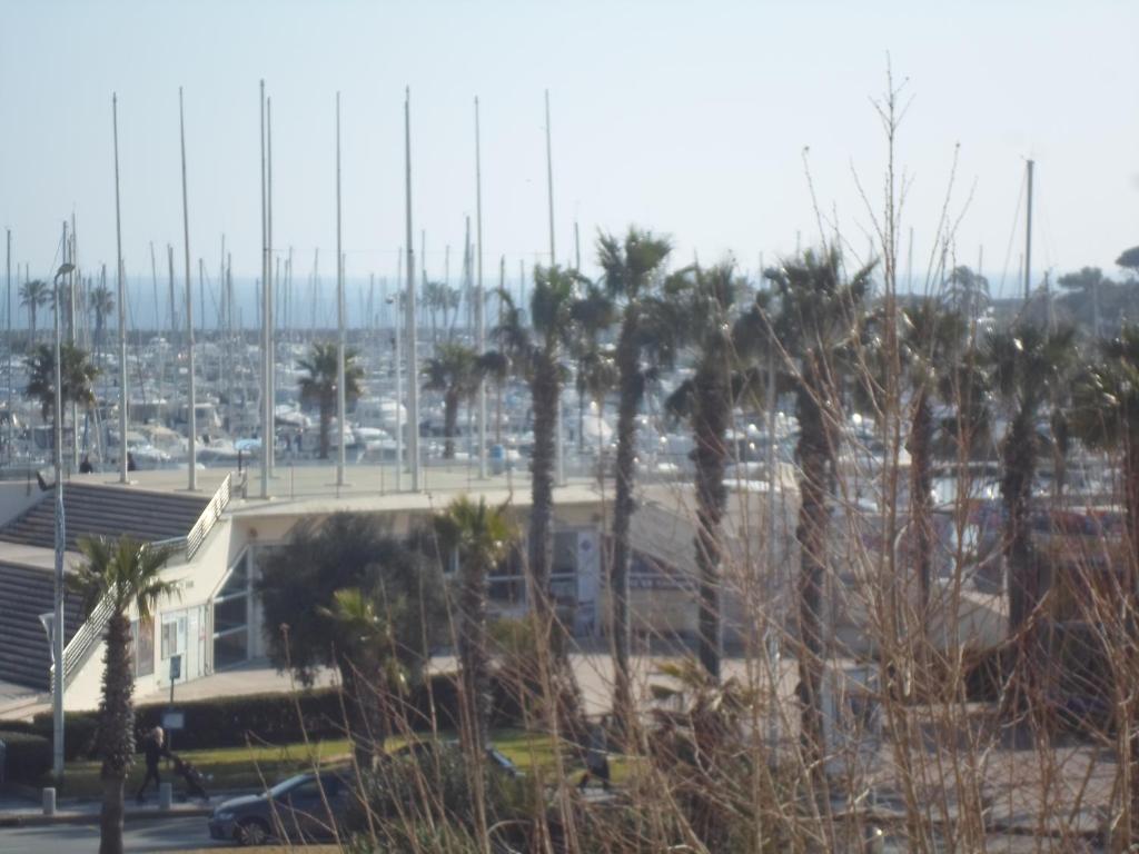 uma vista para um parque de estacionamento com palmeiras em Appart T3 a 50 m de la plage em Cavalaire-sur-Mer