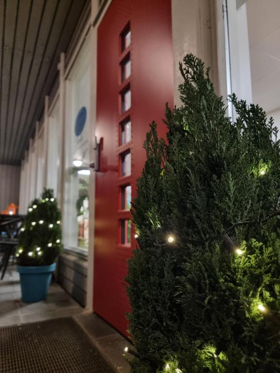 Zahrada ubytování Sognhostel
