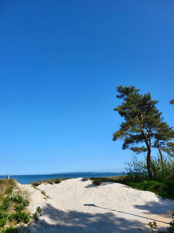 Fotografie z fotogalerie ubytování Hotel und Restaurant Windland v destinaci Breege