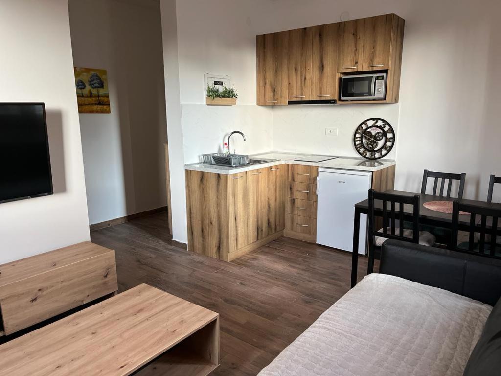 科帕奧尼克的住宿－MONTANA apartment 9，客厅设有带水槽和桌子的厨房