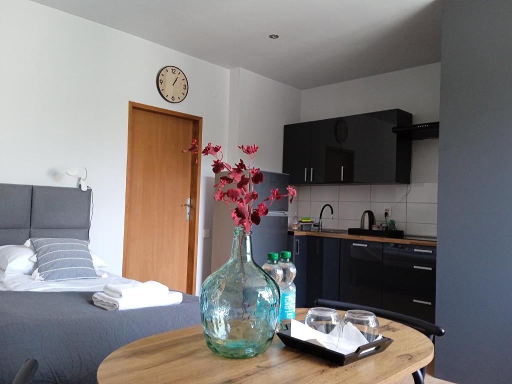 Fotografie z fotogalerie ubytování Apartamenty Wiejska 126 v destinaci Sosnovec