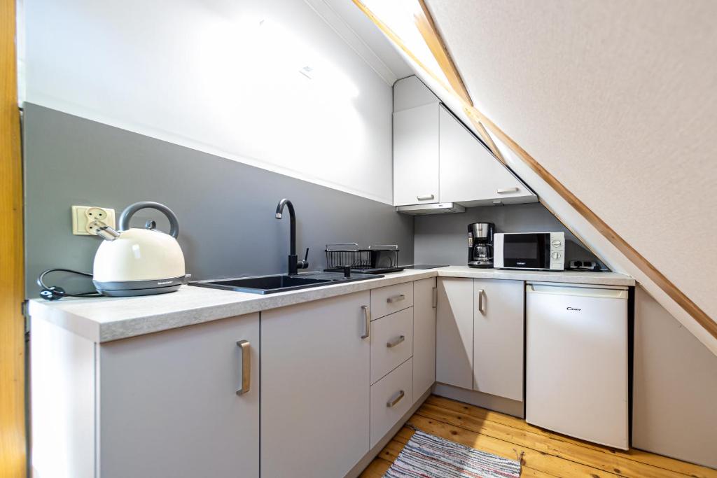Kuchyňa alebo kuchynka v ubytovaní Apartamenty Parzenica