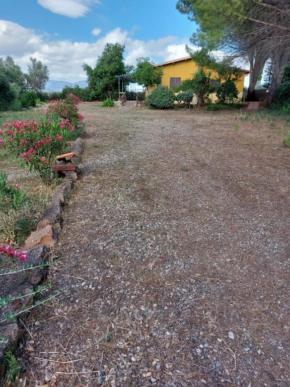 un patio con flores rosas y una casa amarilla en Agriturismo I 13 Pini di Putzu Anna Maria en Giba