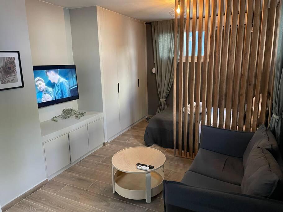 a living room with a couch and a tv at Chic fully equipped Studio Apart - Netflix - Wi-Fi in Piraeus