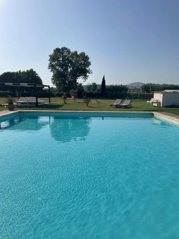 a large pool of blue water in a yard at THE RANCH Apartment 2 Capalbio in Pescia Romana