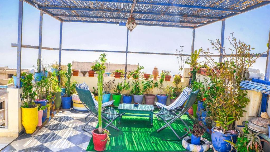 Κήπος έξω από το Maison de vaccances Raouia