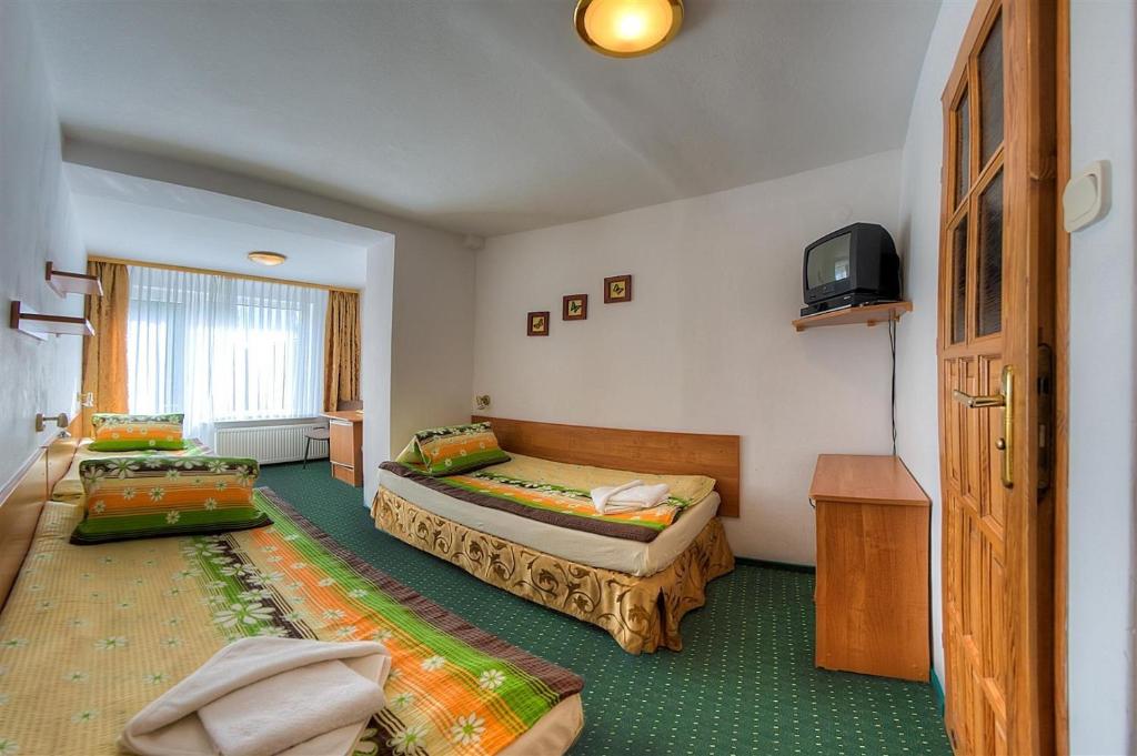 コウォブジェクにあるDom Wczasowy AMIGOのベッド2台とテレビが備わるホテルルームです。