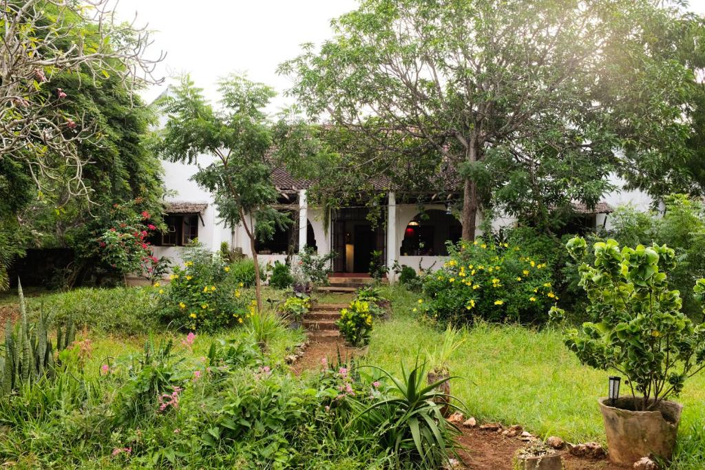 Zahrada ubytování Angelina (@ Home of Halwaridi)