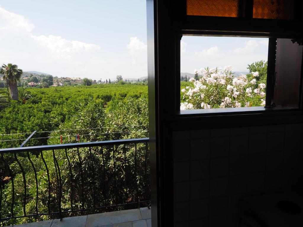 Villa Christina - 19