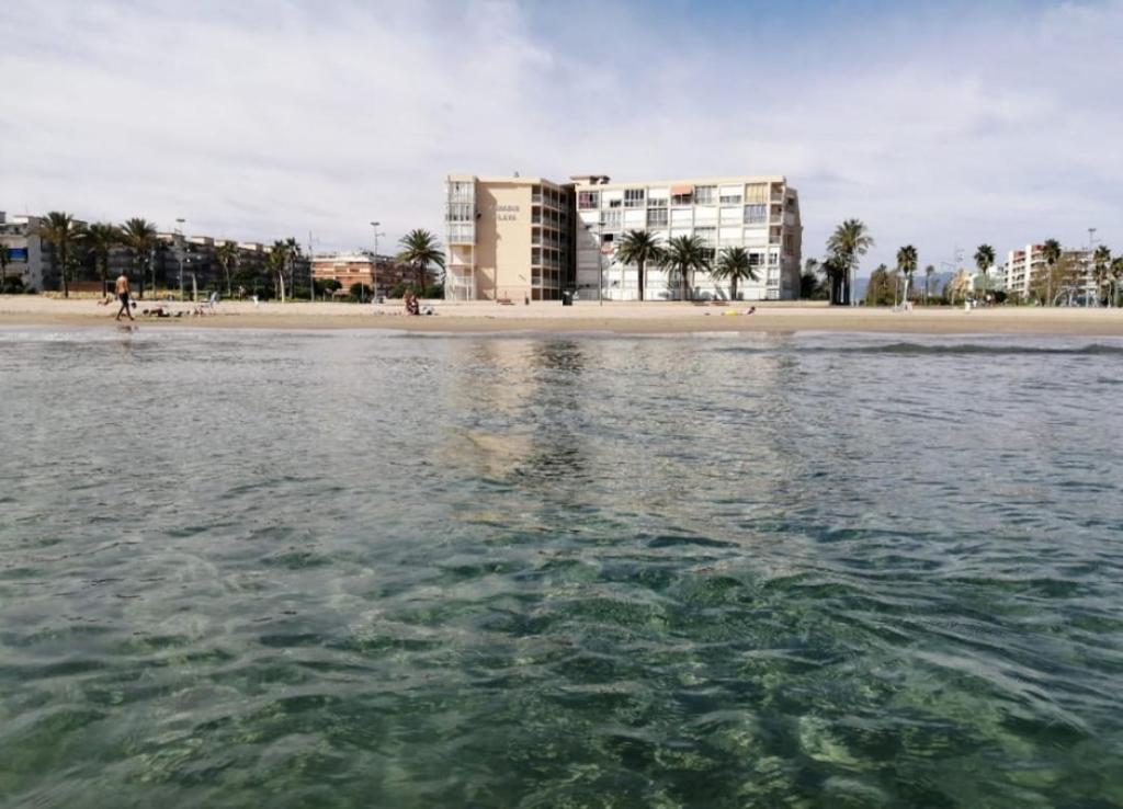 ラ・ピネーダにあるLa Pineda De Salou Port Aventuraの建物と水辺のビーチの景色を望めます。