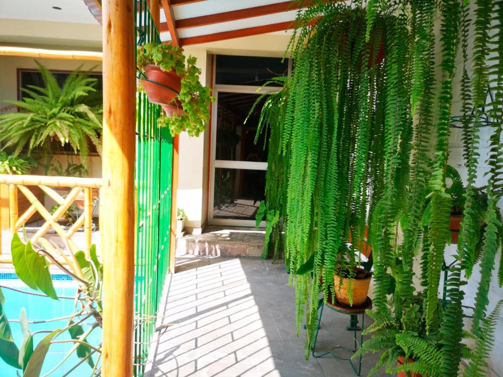 Zahrada ubytování Casa Amarello