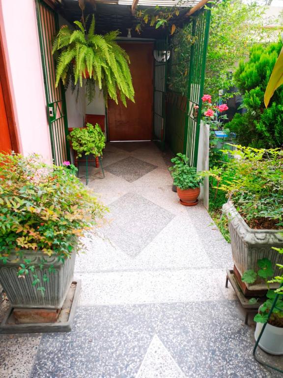 Zahrada ubytování Casa Amarello