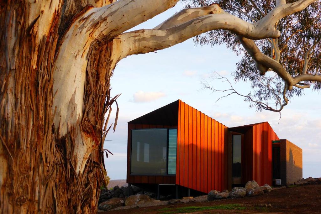 a house with an orange and black facade next to a tree at Breakneck Gorge Oikos in Hepburn Springs