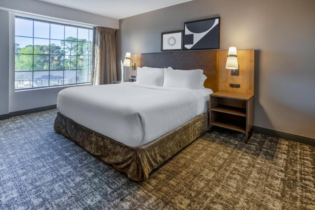 Staybridge Suites Wilmington East, an IHG Hotel - King Studio - Disability Access