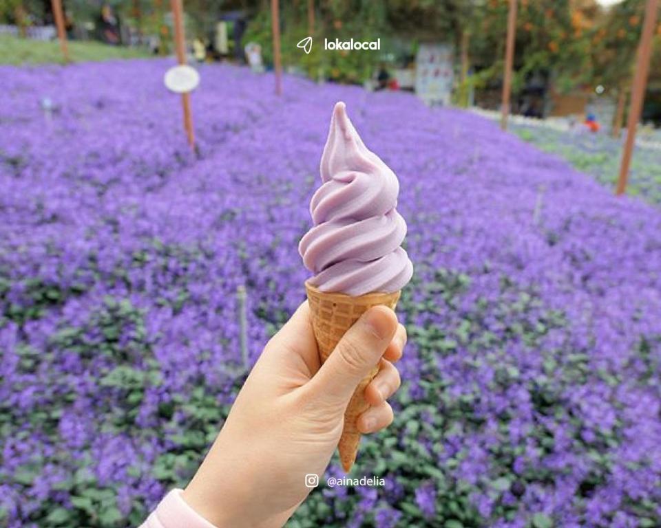 a person holding an ice cream cone in front of a field of flowers at Melur Inn in Cameron Highlands