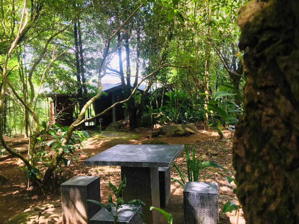 un banc au milieu d'une forêt dans l'établissement Mossy Forest Chalets, à Deniyaya