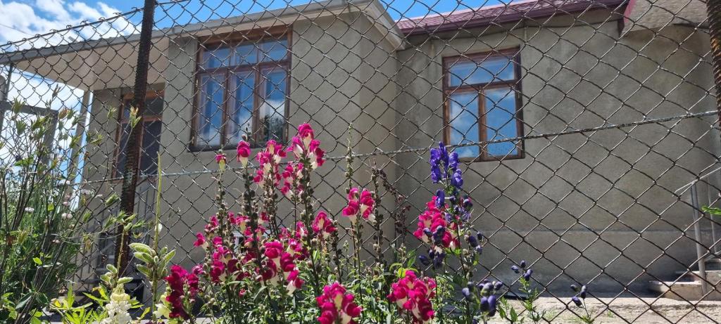 een huis achter een hek met bloemen ervoor bij Old plase in Tsalka