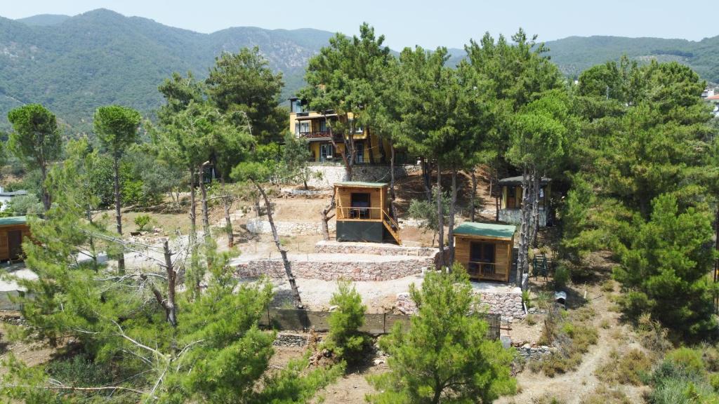an aerial view of a house in the woods at Sarı Konak Butik Otel in Gure