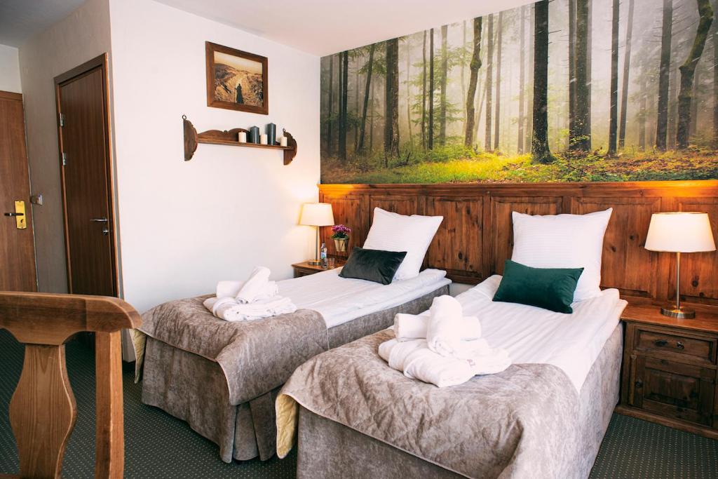 Hotel Kotarz Spa&Wellness - 双人或双床间 - 带无障碍设施