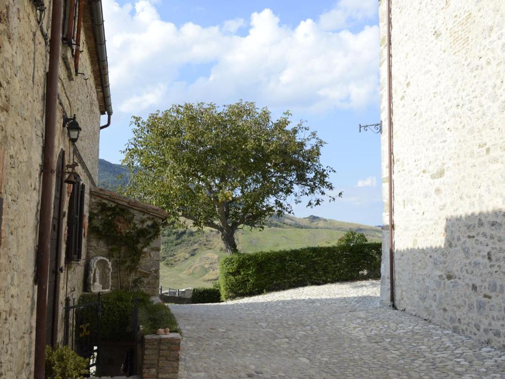 Une allée avec un arbre au loin dans l'établissement Appealing Apartment in Petrella Guidi with near Centre, à Petrella Guidi