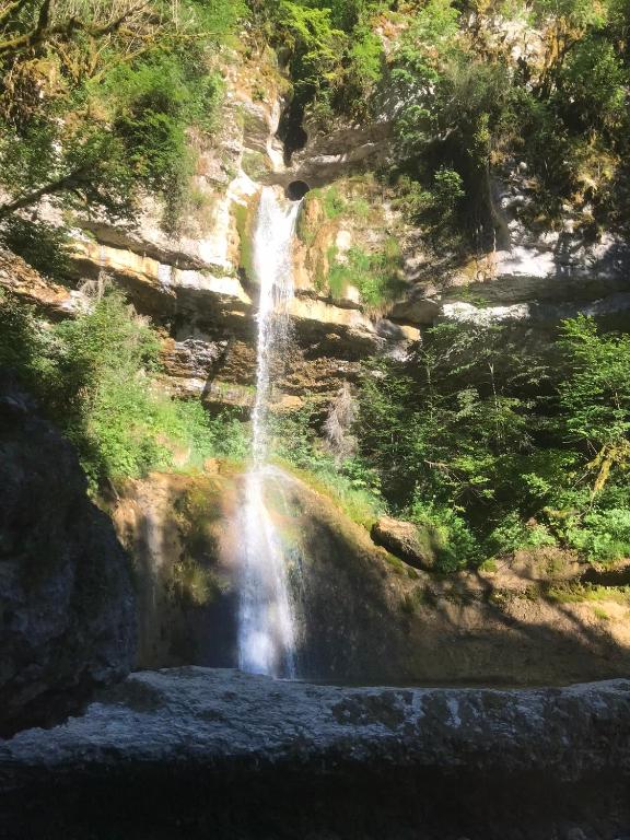 a waterfall in the middle of a forest at Le refuge du berger in Choux