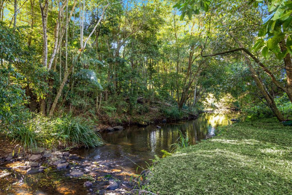 a stream in a wooded area with trees and a river at Tranquil Getaways On Obi Maleny in Maleny