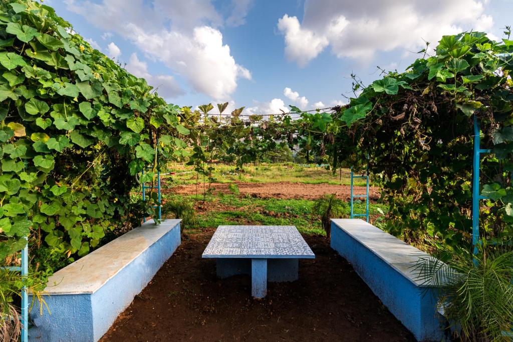 Zahrada ubytování SaffronStays Vyom Farms