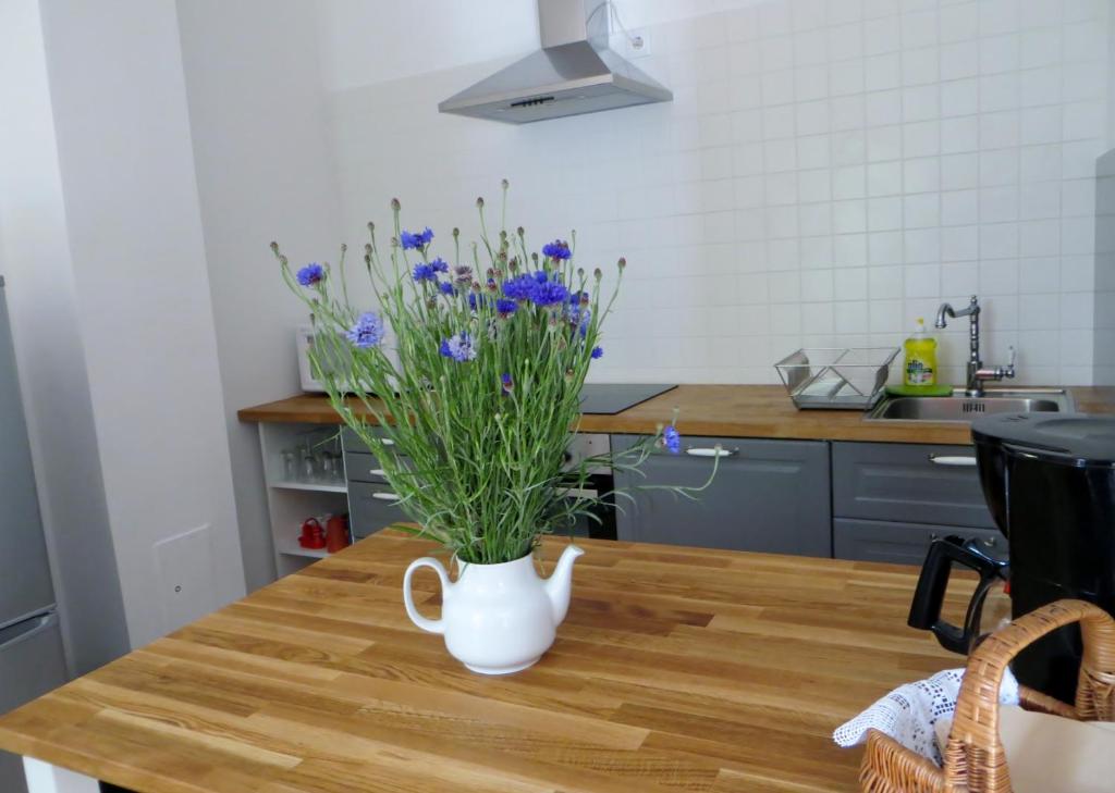 Kuchyň nebo kuchyňský kout v ubytování Gästehaus Elfriede