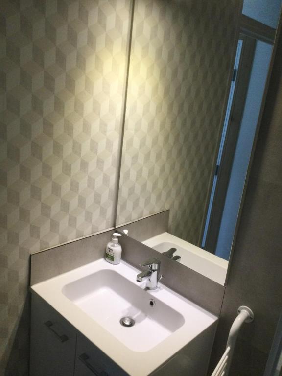 a bathroom with a sink and a mirror at Baie de Somme, Quend-Plage, 50m de plage, appart 4 a 6 personnes in Quend