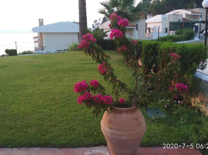 Vonkajšia záhrada v ubytovaní Yades elegant villa 2 minutes away from the beach