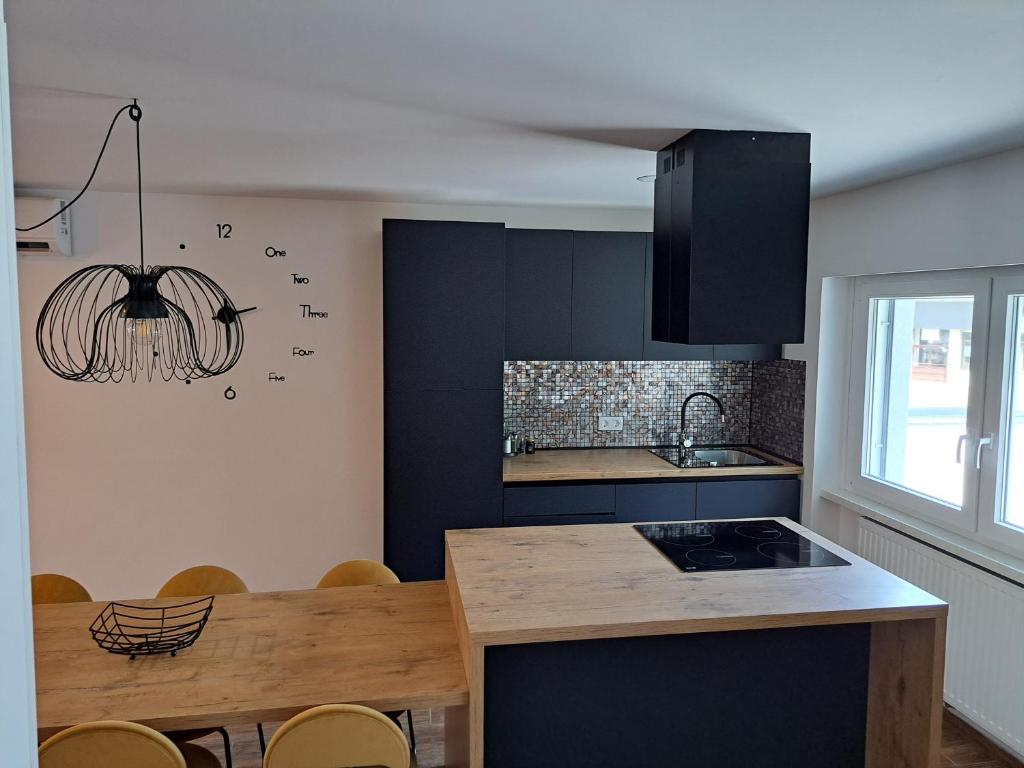 Kuchyň nebo kuchyňský kout v ubytování Apartment Šelih