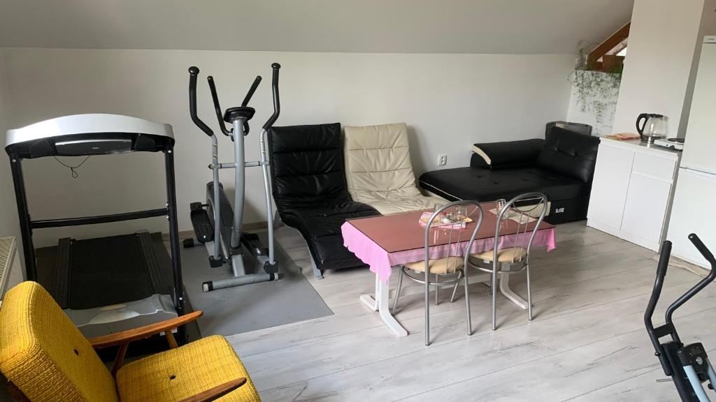 Fitness centrum a/nebo fitness zařízení v ubytování Penzión Gaboltov