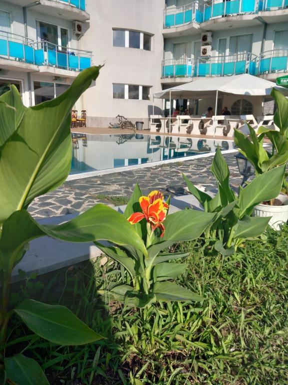 Bazén v ubytování Hotel Sunset Beach nebo v jeho okolí