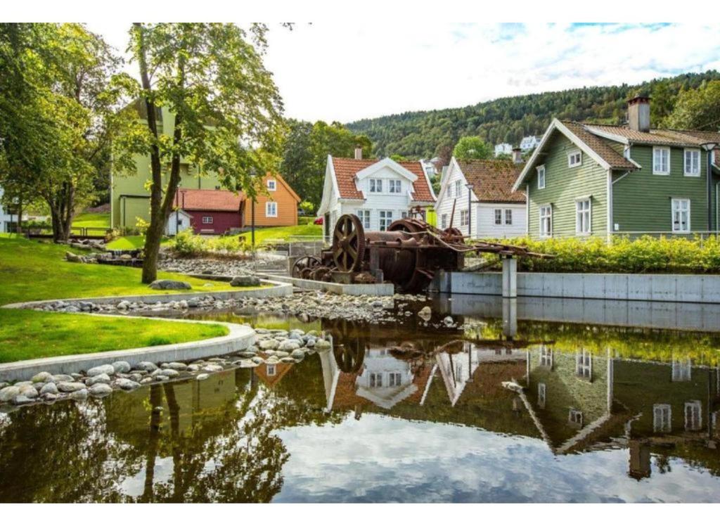 a town with houses and a pond with a tractor in it at Panorama Apartment Damsgård in Bergen