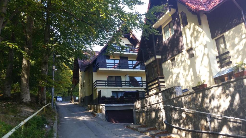 a house on the side of a road with trees at Apartament Kalinderu K3 Busteni in Buşteni