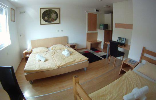 Hotel Galaksija Trebnje في Trebnje: غرفة نوم فيها سرير ومكتب