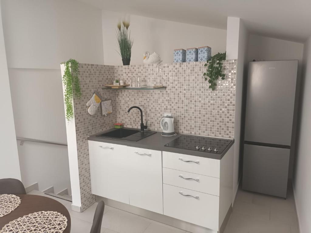 kuchnia ze zlewem i lodówką w obiekcie Apartment penthouse & apartment studio Franci w mieście Pag